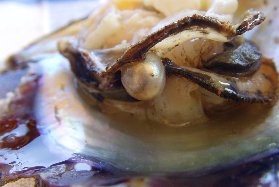 ¿Por qué unas ostras tienen perla y otras no?