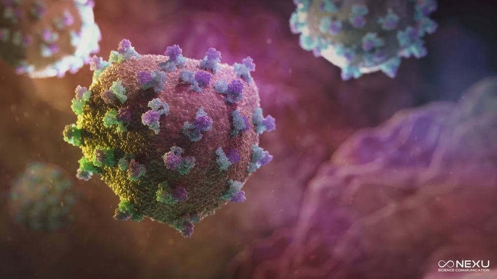 Investigadores desvelan cómo el virus de la hepatitis C evita ser descubierto durante meses tras la infección