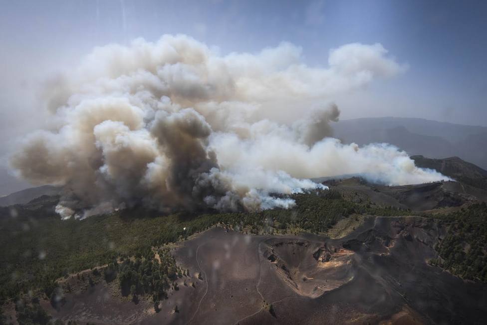 El Gobierno invertirá un millón de euros en restaurar la zona quemada en agosto en Gran Canaria