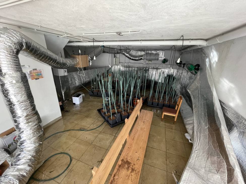 Plantación de marihuana desarticulada en un garaje de la parroquia focense de Fazouro