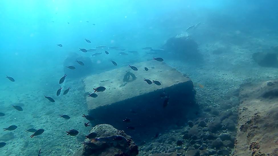Una boya con cámara submarina emitirá durante ocho meses las imágenes de los fondos del Puerto de Cartagena