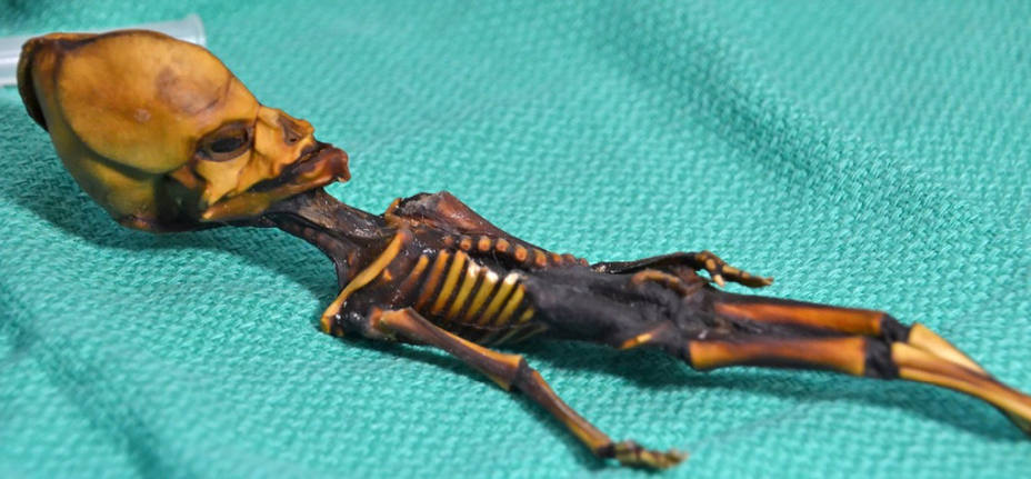 El esqueleto de Atacama no es un alienígena, sino un bebé con raras mutaciones