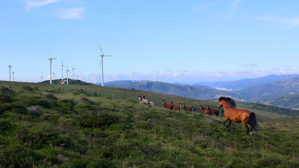 Parque eólico situado en la Serra do Xistral, entre los municipios de Ourol y Viveiro