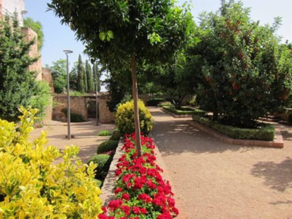 Sevilla alcanzará valores máximos de polen de gramíneas