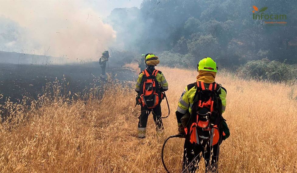 El fuego ha quemado un total 35.311 hectáreas anuales