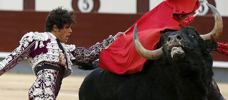 Miguel Abellán y Trasquito?, el toro de Valdefresno con el que el madrileño saludó una ovación. EFE
