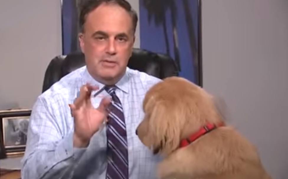 Un perro interrumpe a un periodista en pleno directo y le pone en el aprieto de su vida
