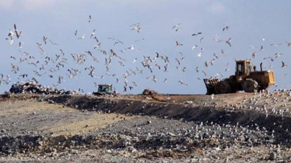 Ecologistas avisa al Gobierno de que incinerar los residuos con COVID-19 en cementeras es un riesgo