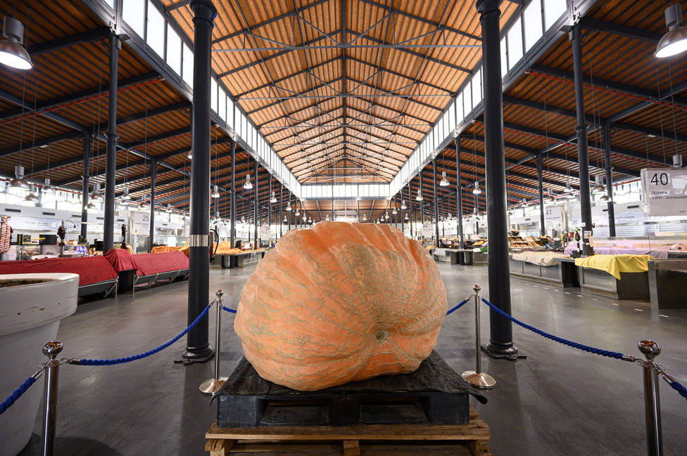 Una calabaza gigante, la más pesada de Andalucía, se exhibe en el Mercado Central de Almería