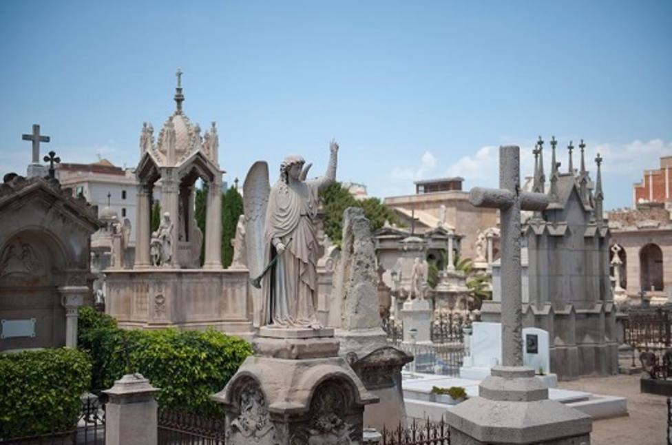 Barcelona estudia crear un cementerio para animales de compaÃ±Ã­a en Collserola
