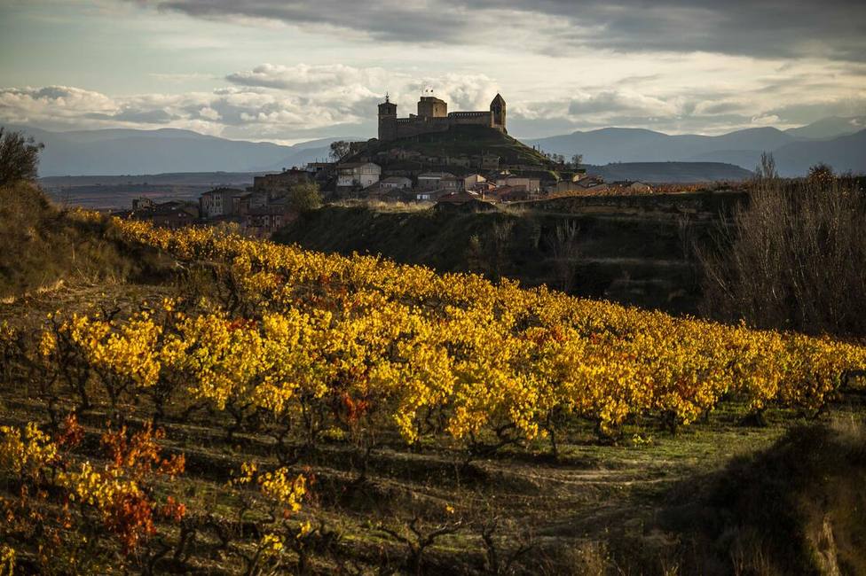 El enoturismo en Rioja tuvo un impacto económico superior a los 155 millones de euros en 2022, casi un 50% más