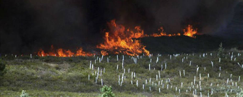 Incendio en Quintana de Castillo, en León. EFE