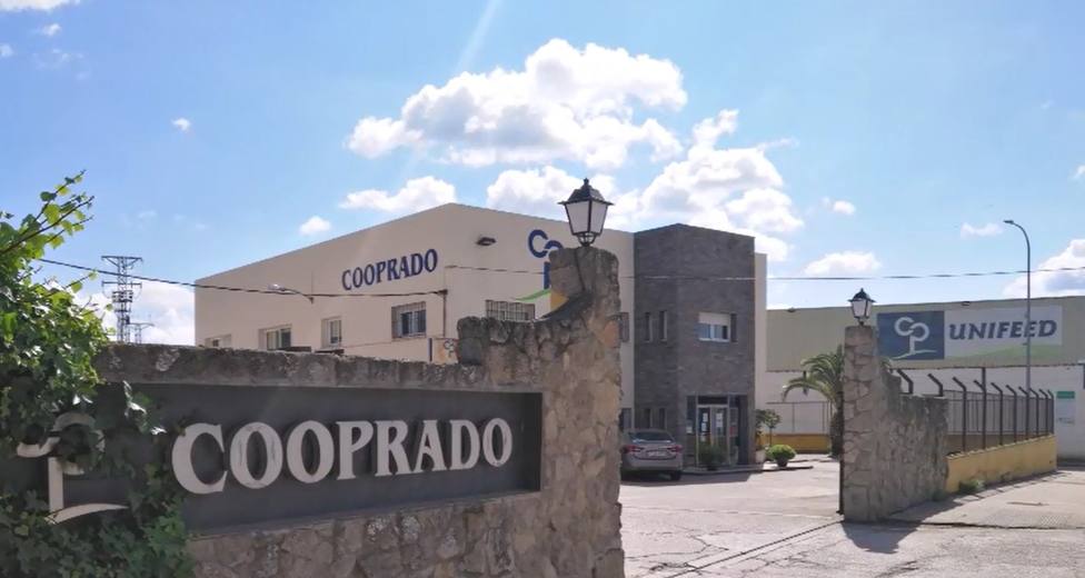 Cooperativa Cooprado. Foto: Cooperativas Agroalimentarias Extremadura