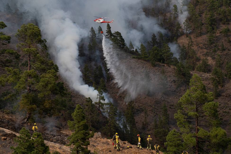 Estabilizado el incendio forestal de Arico (Tenerife)
