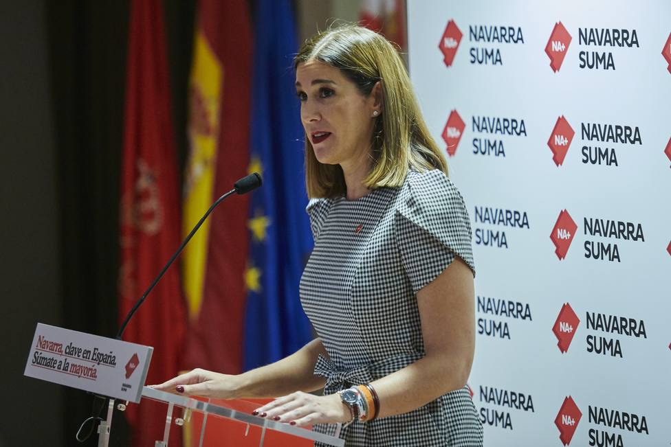 Ciudadanos preguntará al Gobierno sobre las menciones a Navarra en los borradores del Estatuto vasco
