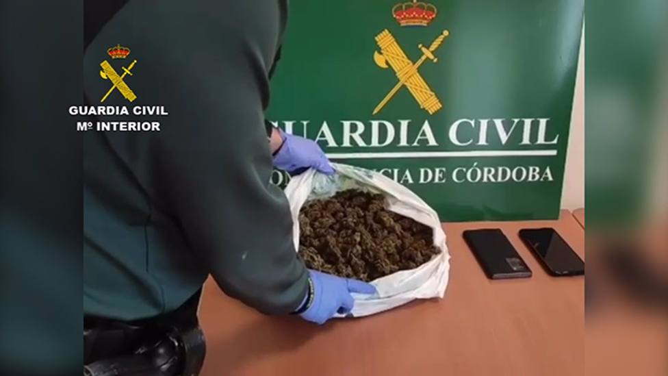 Detenidos en Montilla dos acusados de tráfico de drogas tras viajar con 530 gramos de marihuana