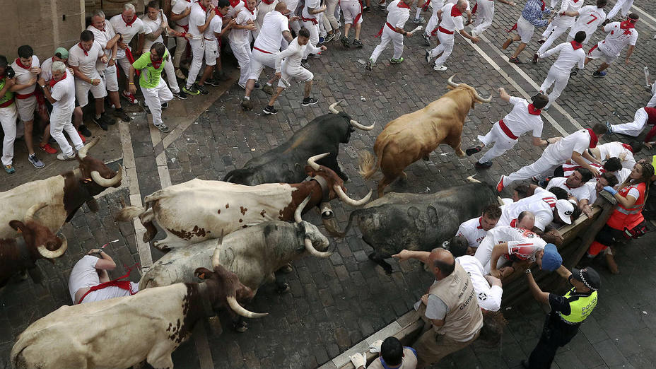 Los toros de Cebada Gago a su paso por la Plaza del Ayuntamiento de Pamplona