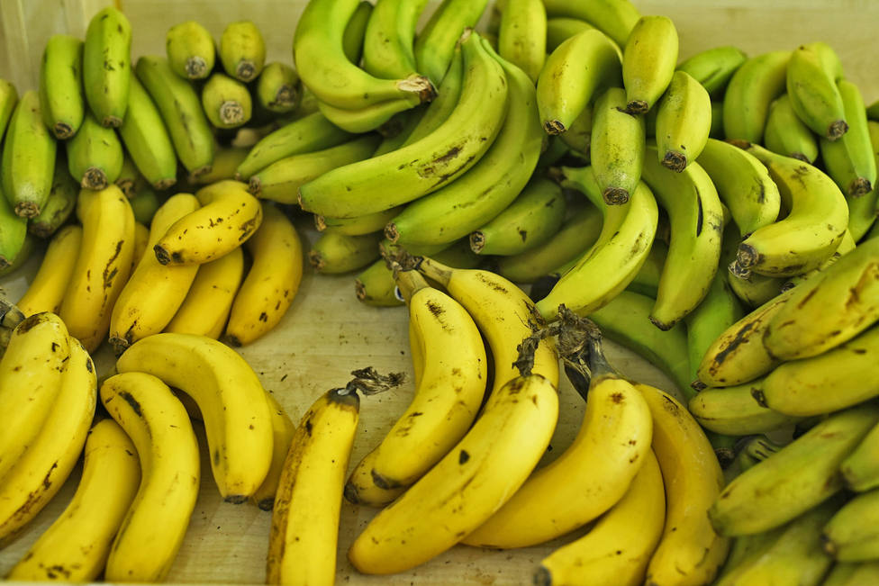 El Estado lleva al Constitucional la ley agroalimentaria canaria por la denominación vino de plátano