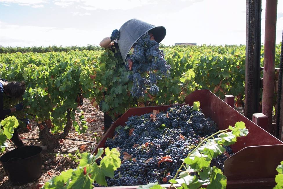 Viticultores de La Rioja piden apoyo ante el inaceptable chantaje del PNV de crear una nueva Denominación