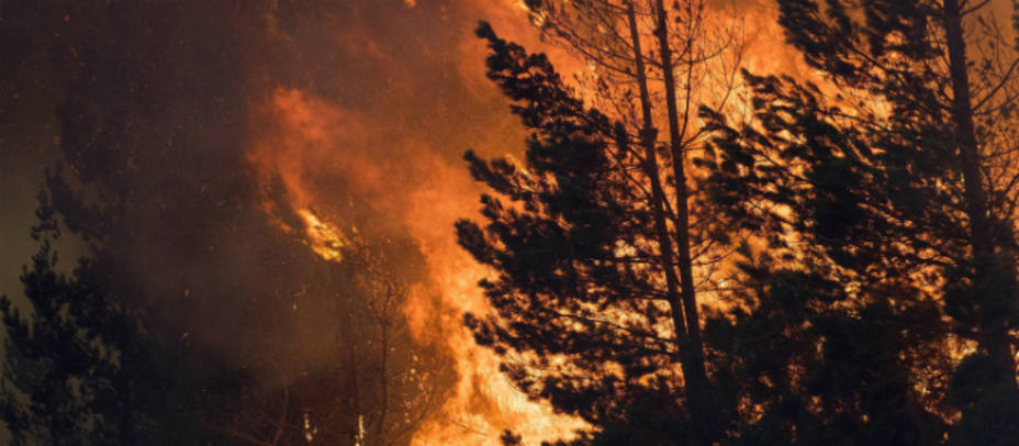 El fuego ha quemado más de 80 hectáreas de monte arbolado en A Fonsagrada. EFE