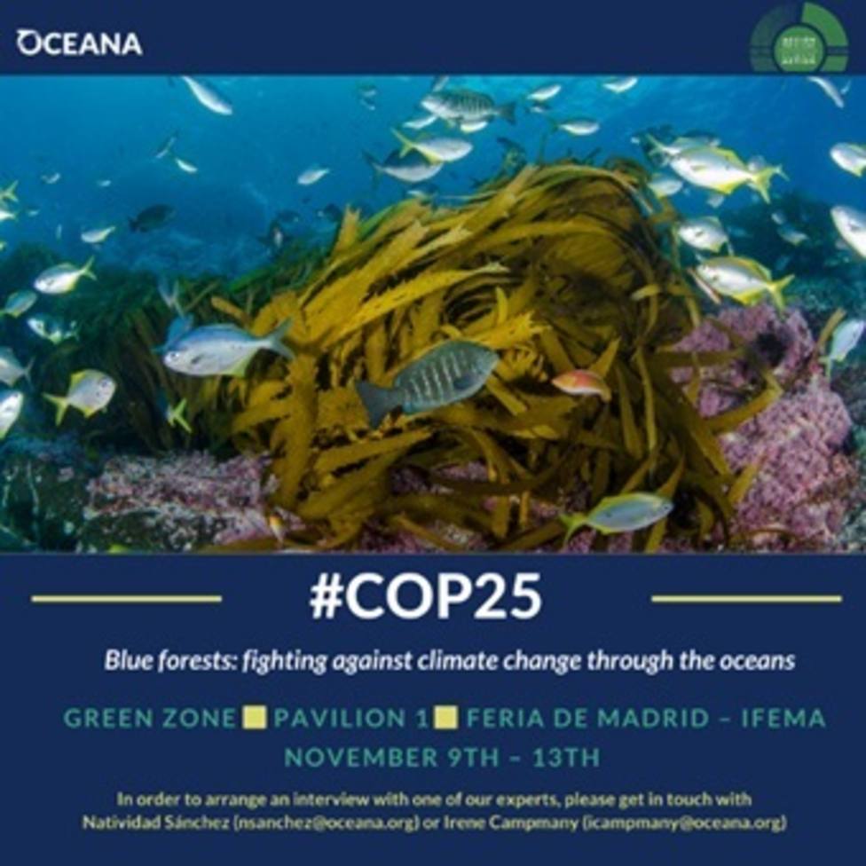 Oceana pide un plan de acción para la protección de los bosques azules