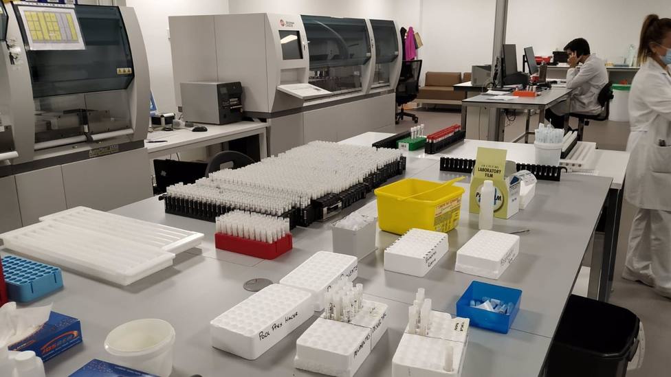 Foto de archivo de muestras para la realización de pruebas PCR , mediante el sistema de pooling
