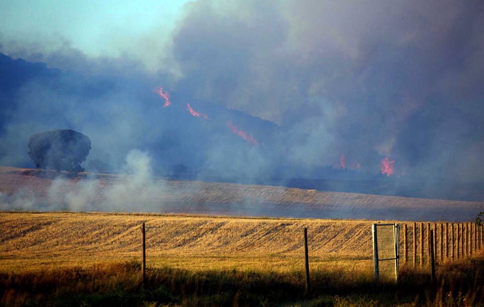 Incendio forestal en Villarroya, La Rioja