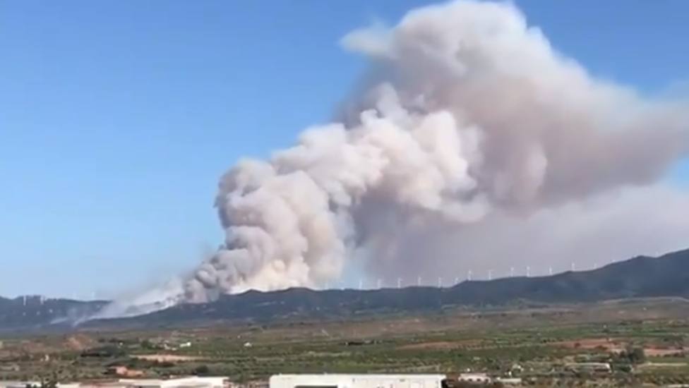 Controlado el incendio de Yerga, en La Rioja, tras calcinar cerca de 360 hectáreas