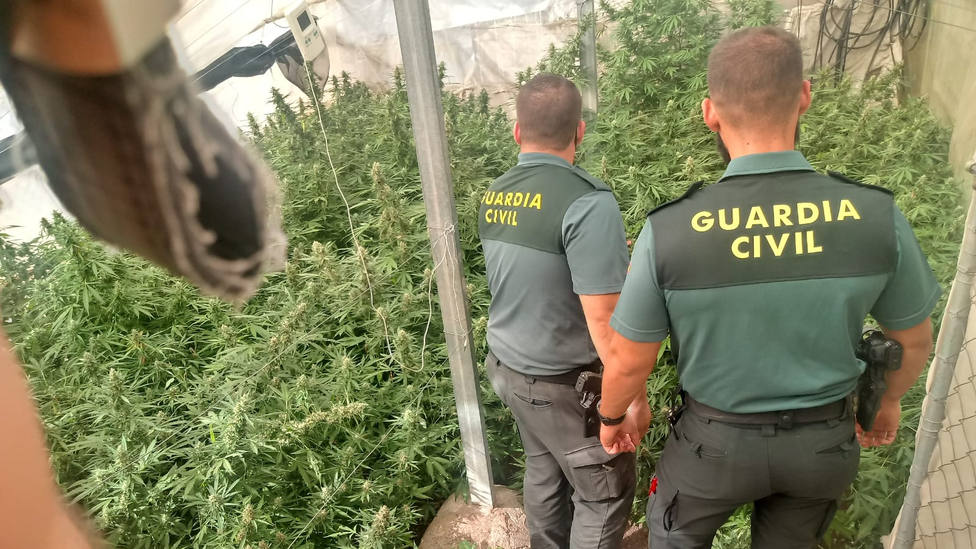 Diez nuevas operaciones contra el cultivo de cannabis, con 14 detenidos en la provincia de Granada