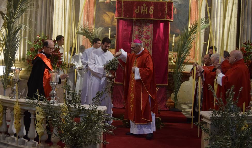 Con la bendición de las palmas recibe la Iglesia de Jaén al que viene en nombre del Señor