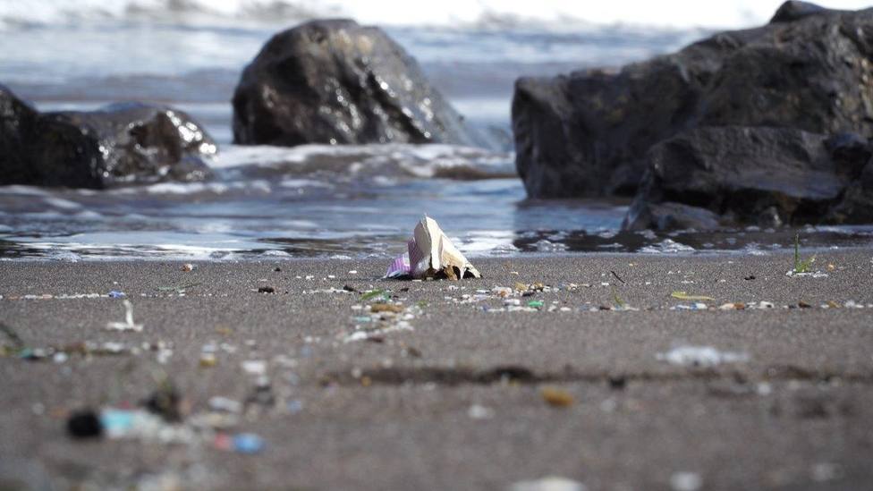 Casi el 60% de las playas canarias están afectadas por el plástico, según un estudio de Loro Parque Fundación
