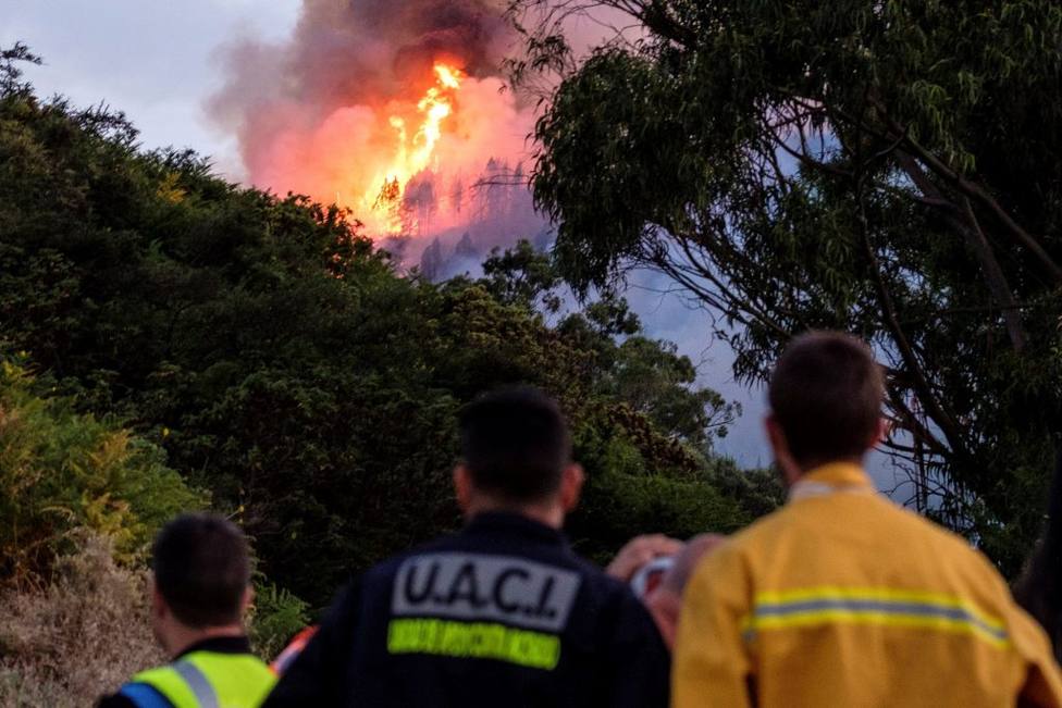 Gran Canaria sufre la voracidad de unos incendios que dejan ya más de 5.000 evacuados, noticias hoy