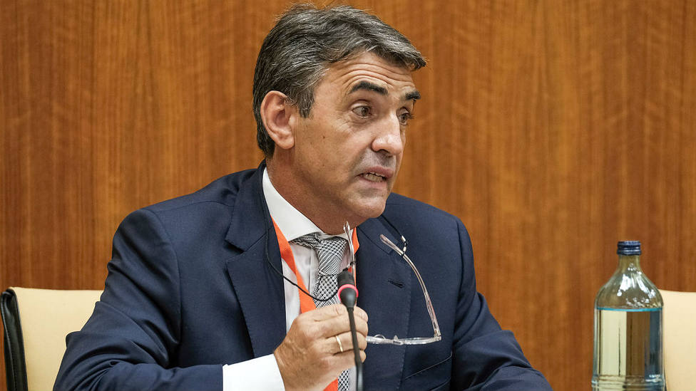 Victorino Martín durante su intervención este martes en el Parlamento de Andalucía