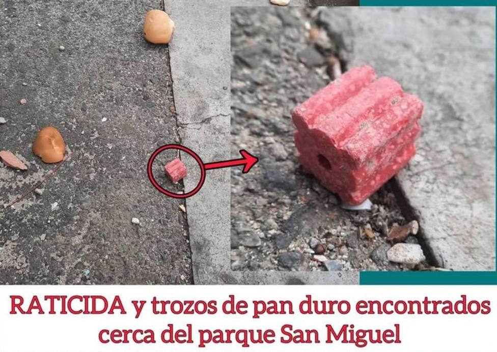 Alerta en Logroño tras la detección de veneno por las aceras del parque San Miguel