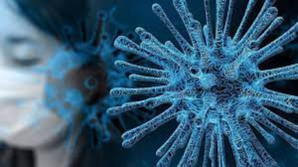 Alicante suma 11 positivos y el coronavirus deja 15 fallecidos más en la Comunidad Valenciana