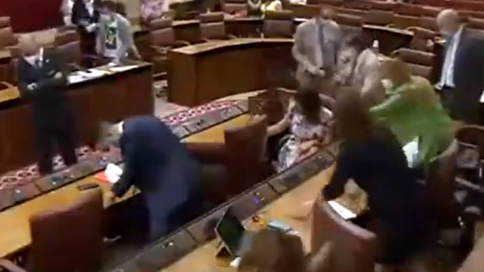Una rata irrumpe en salón de plenos del Parlamento andaluz y para la sesión
