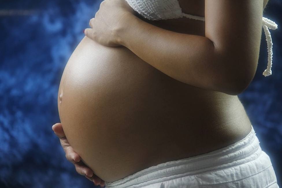 Marlaska cree que la propuesta del PP para las embarazadas en situación irregular cosifica la maternidad y al migrante