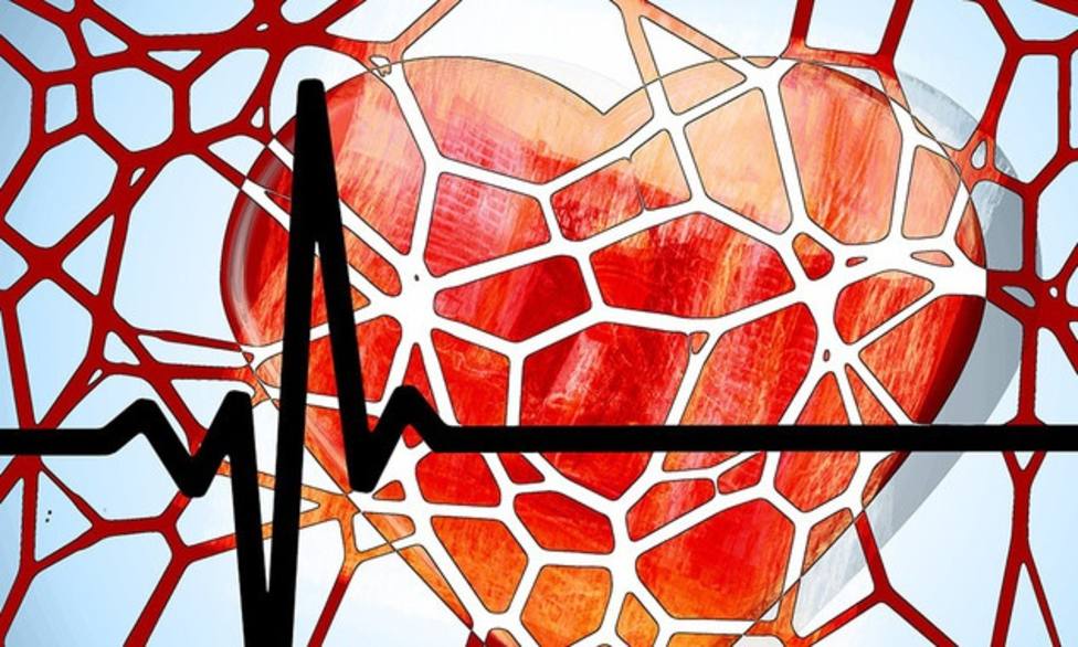 Investigadores exploran nuevas formas de curar el daño en el corazón después de un ataque cardiaco