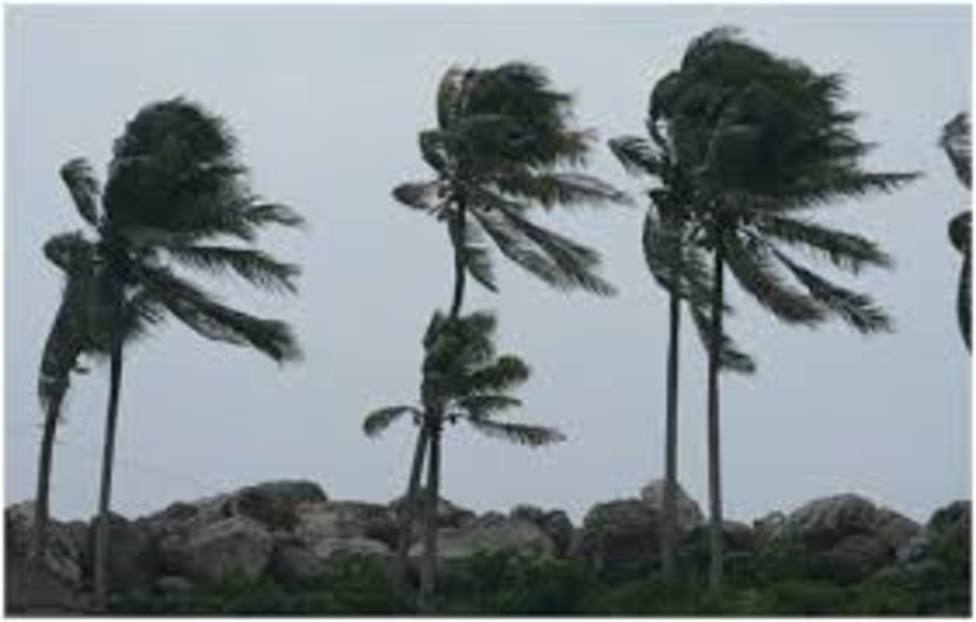 Las Palmas de Gran Canaria declara la situación de alerta por vientos