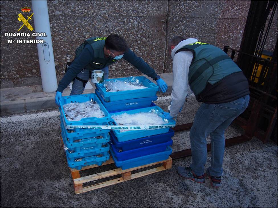 La Guardia Civil interviene en Altea 110 kilos de merluza inmadura que iba a ser vendida en Madrid