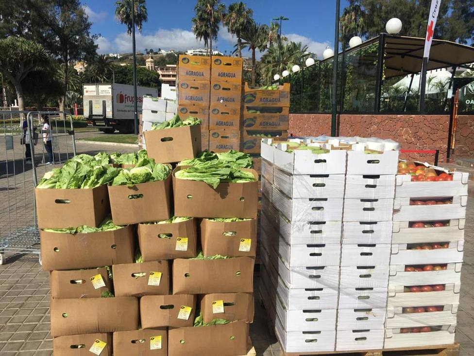 Gran Canaria reparte casi 3 millones de kilos de producto fresco local a ONG y personas sin recursos