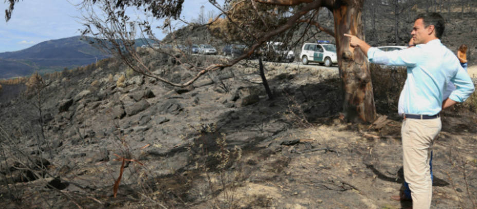 Pedro Sánchez ha visitado la zona quemada en el incendio de la Sierra de Gata. PSOE