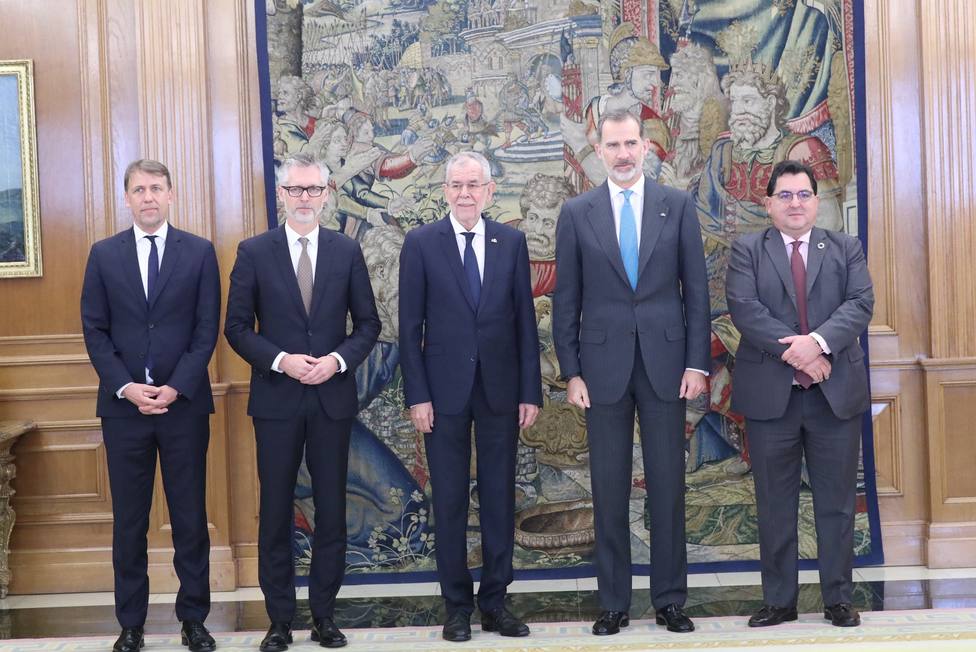 El Rey traslada a Austria la solidaridad de España tras el ataque terrorista