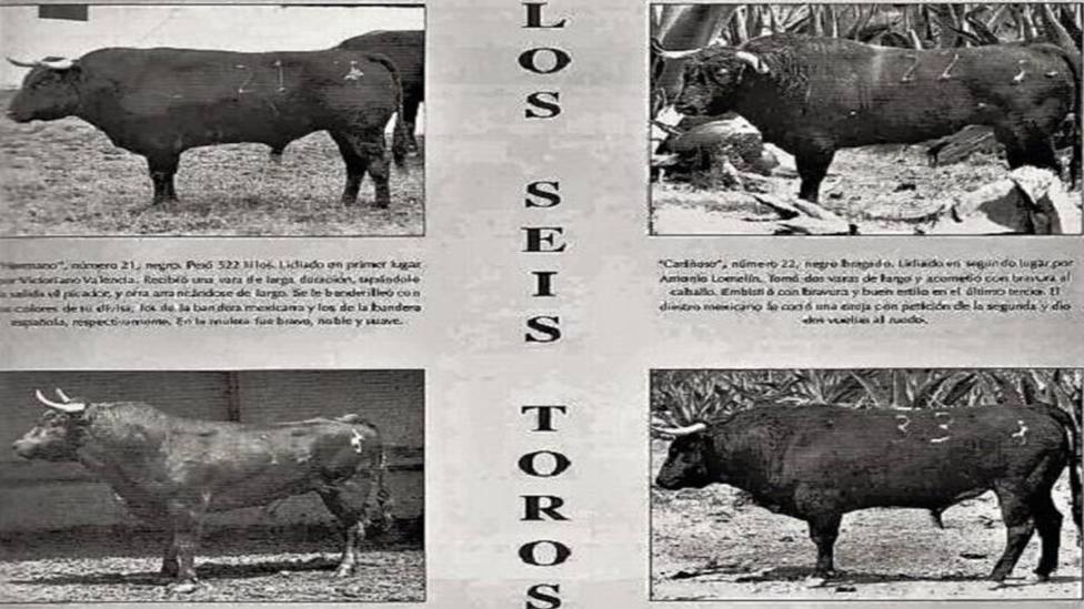 Cartel anunciador con varios de los toros de Mimiahuapam lidiados en Las Ventas