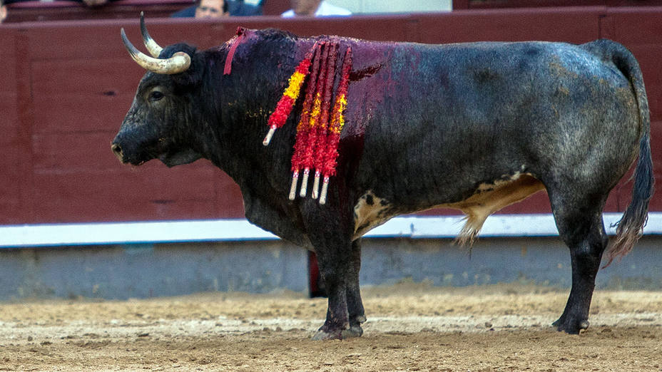 Uno de los toros de La Quinta lidiados este miércoles en Las Ventas