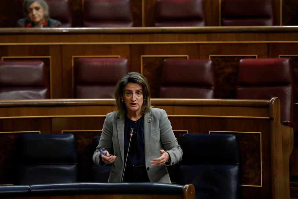 Intervención de Teresa Ribera en el Congreso de los Diputados durante el Estado de alarma