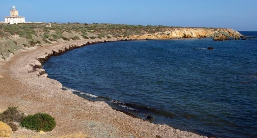 Alicante exige al Consell una conexión regular y diaria con la isla Tabarca