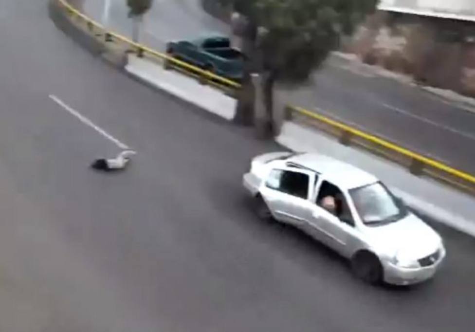 Un niño cae de un coche en marcha y se salva de una manera inaudita