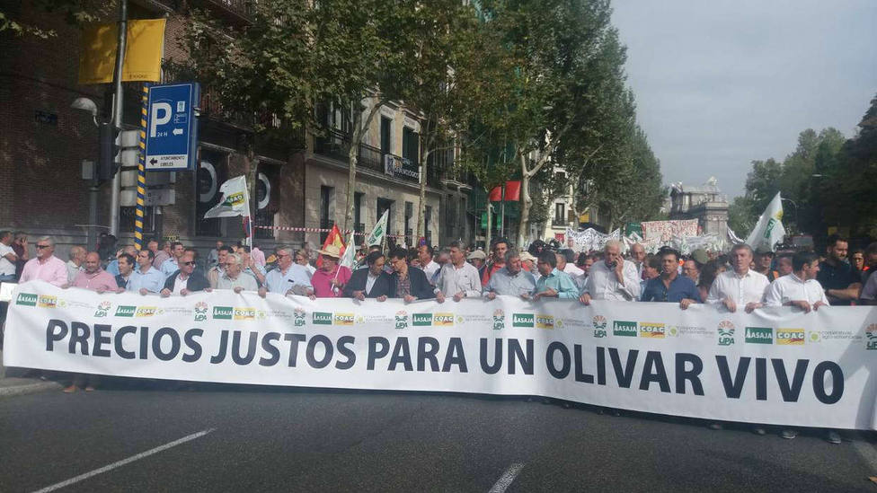 Los olivareros españoles se manifiestan en Madrid