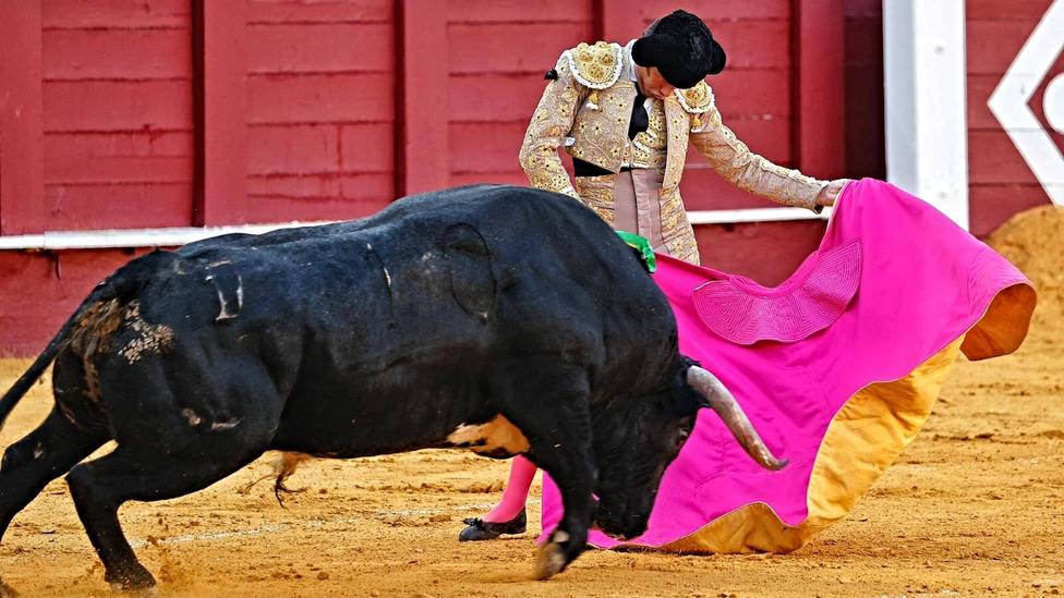 Verónica de José Garrido al toro de Pallarés al que cortó una oreja en Málaga este sábado